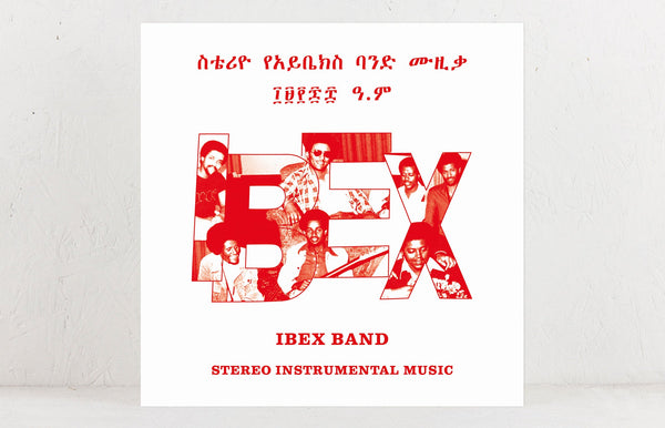 Ibex-Shopify_grande.jpg?v=