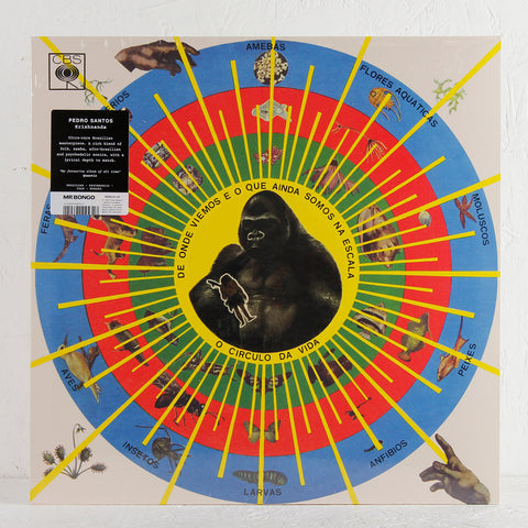 MRBLP139-PEDRO-SANTOS-FRONT-