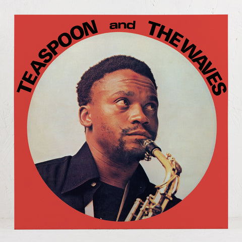 Teaspoon And The Waves - Vinyl LP/CD – Mr Bongo USA