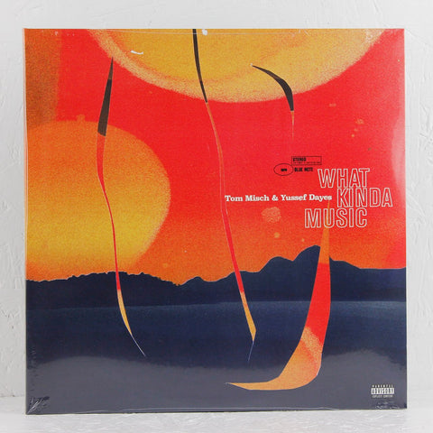What Kinda Music – Vinyl 2LP - Mr Bongo– Mr Bongo USA