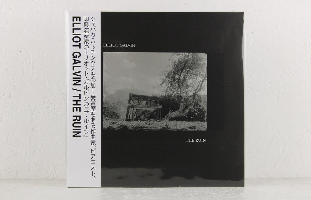 The Ruin – Vinyl LP