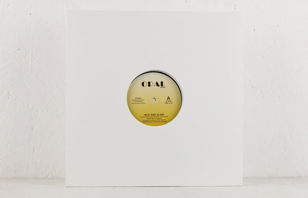Nice and Slow – Vinyl 12"