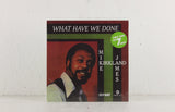 Mike James Kirkland - What Have We Done – Vinyl 7"