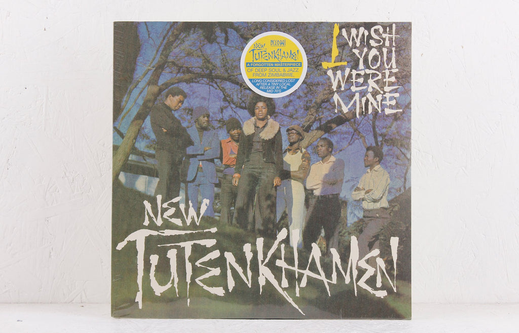 I Wish You Were Mine – Vinyl LP