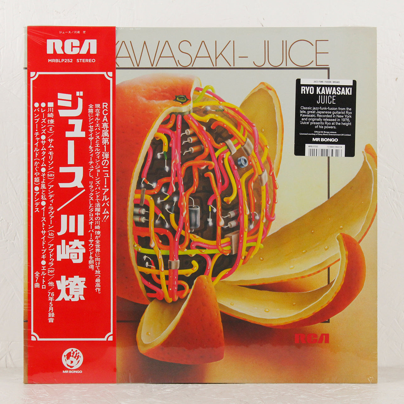 mrblp252-Ryo-Kawasaki-sqaure.